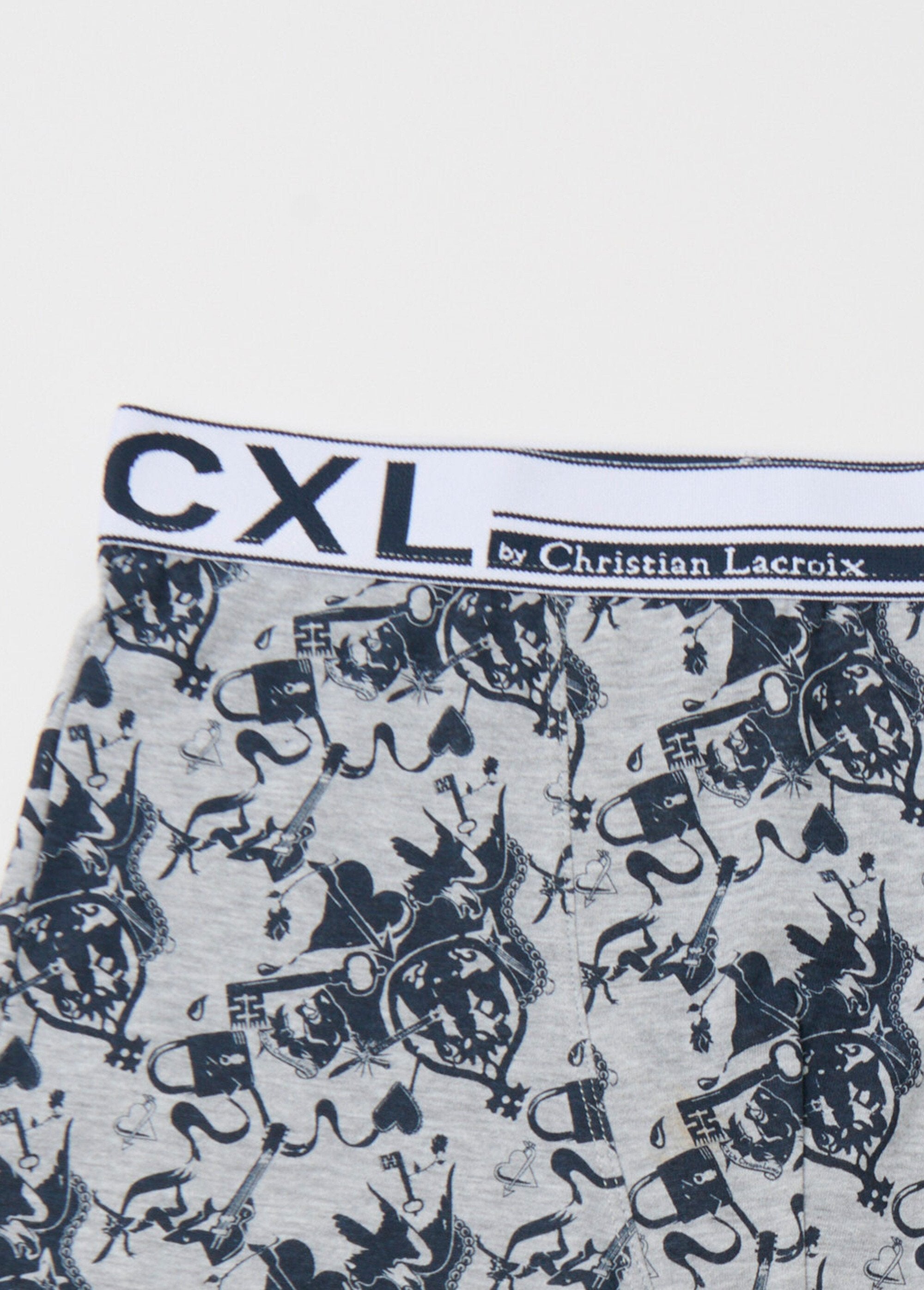 Logo_print_boxer_shorts_Blue_print_DE1_slim