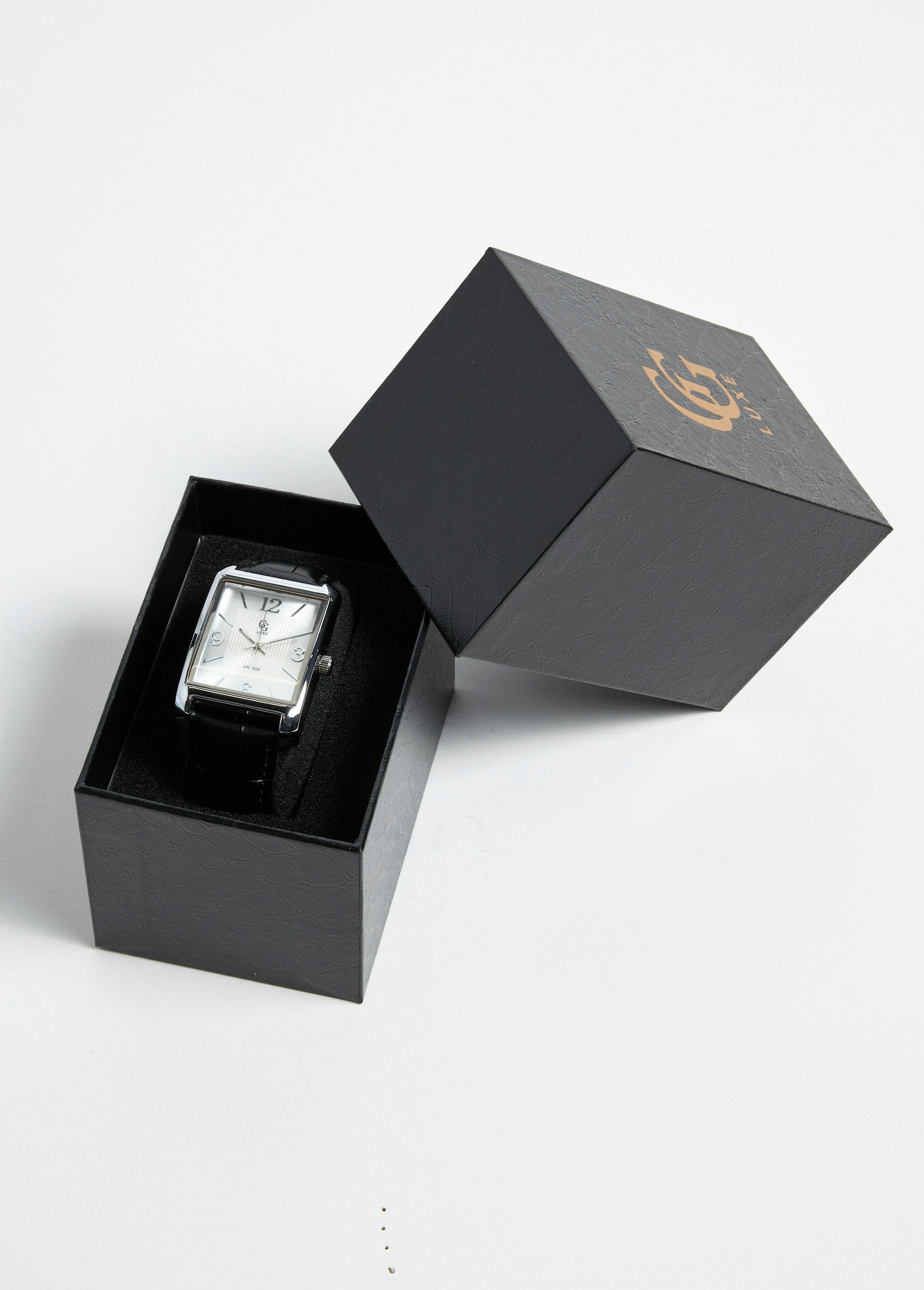 Rectangular_stainless_steel_and_crocodile-style_leather_watch_Black_DE4_slim