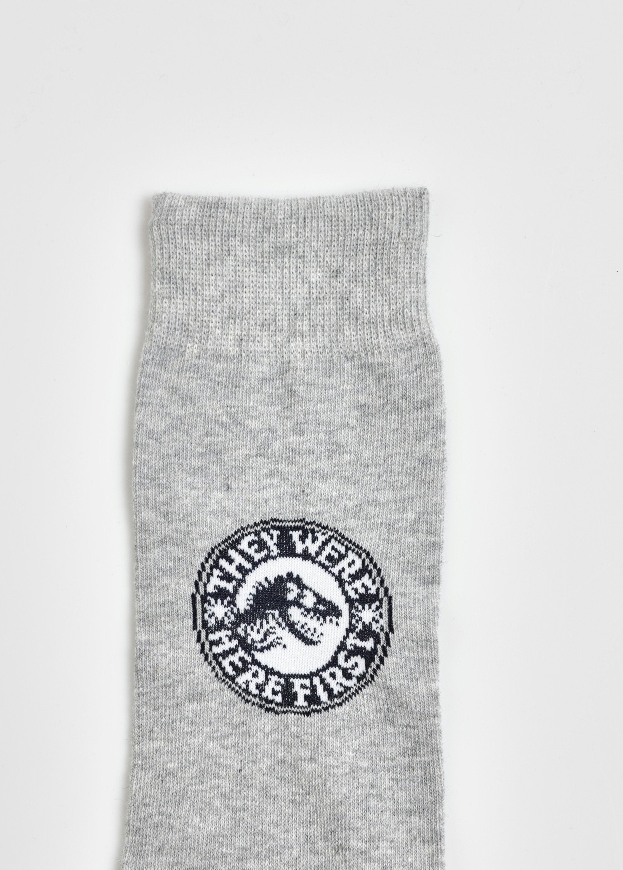 Pair_of_socks,_Jurassic_World_Gray_DE2_slim