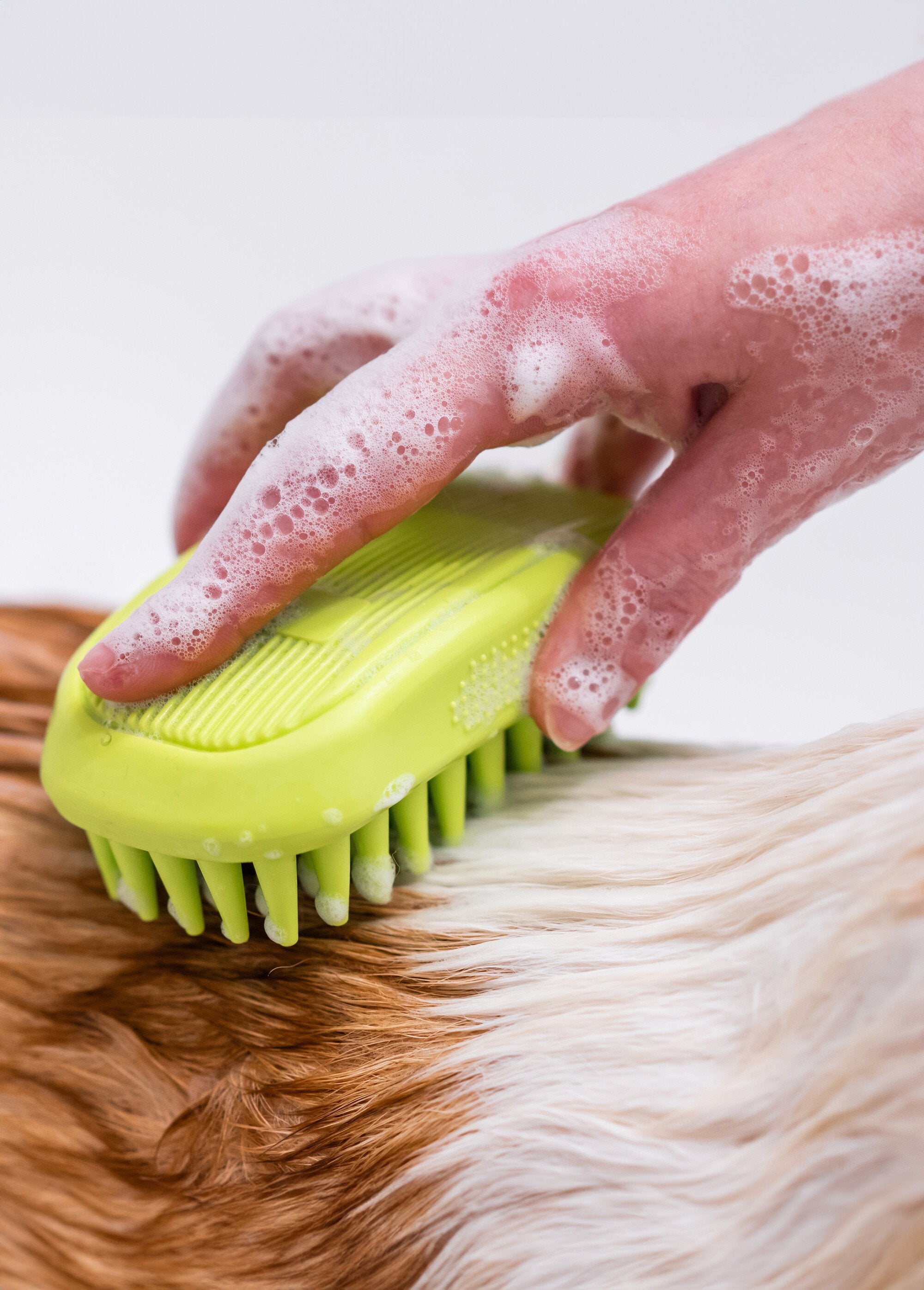 Detangling_care_shampoo_for_dogs_White_DE1_slim