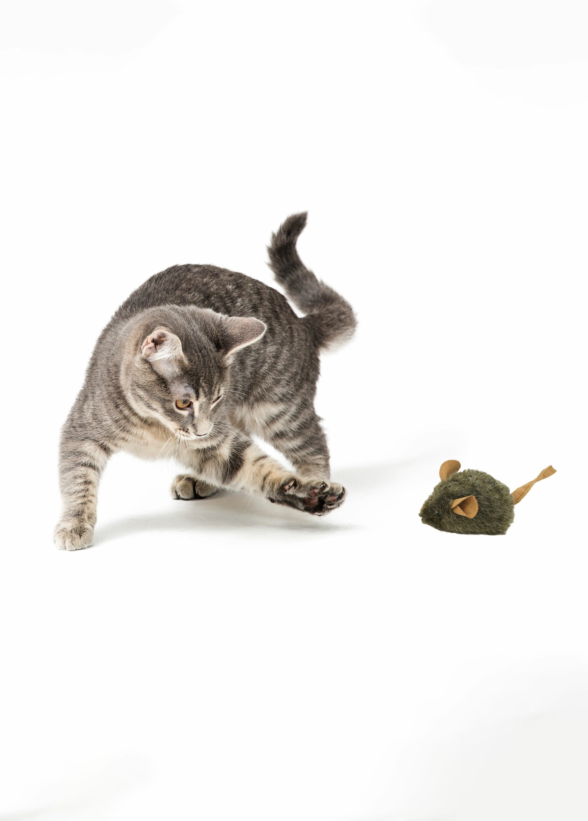 Musical_mouse_cat_toy_Brown_DE1_slim